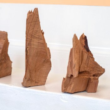 Guy Rombouts, Lebanon Cedar Chainsaw Alphabet, dmw gallery