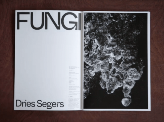 dries segers, fungi, dmw gallery, artist book