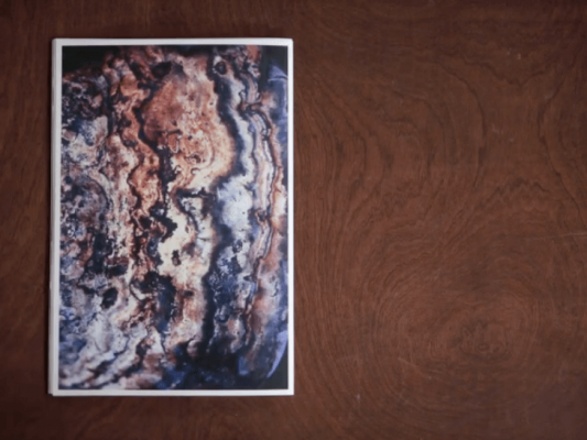 dries segers, fungi, dmw gallery, artist book